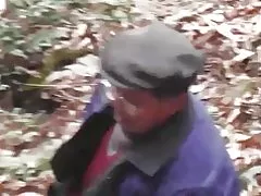 Bos serie - bos wild